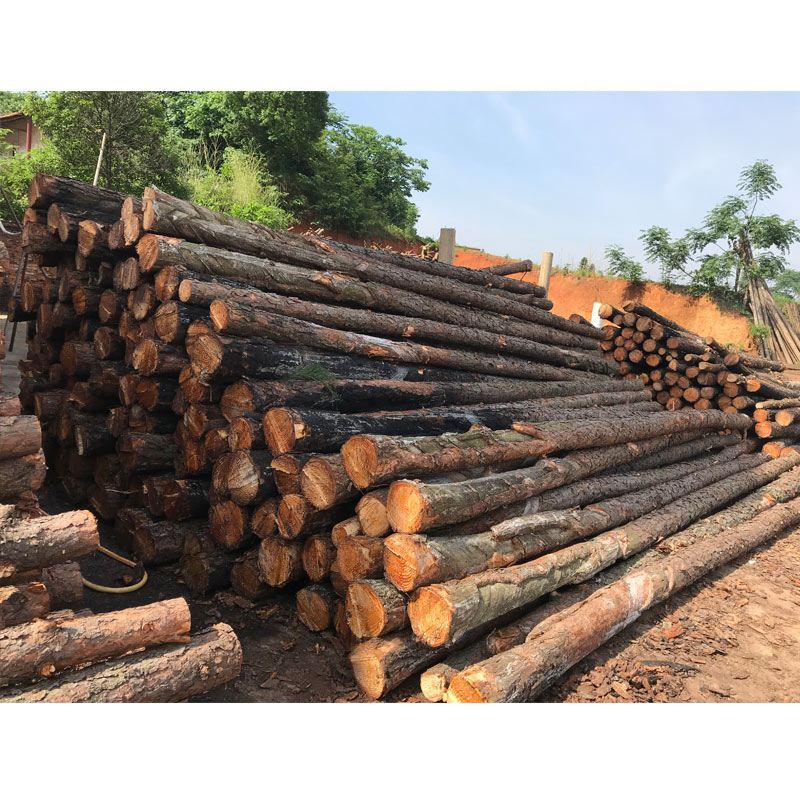 松木樁使用注意事項有哪些？