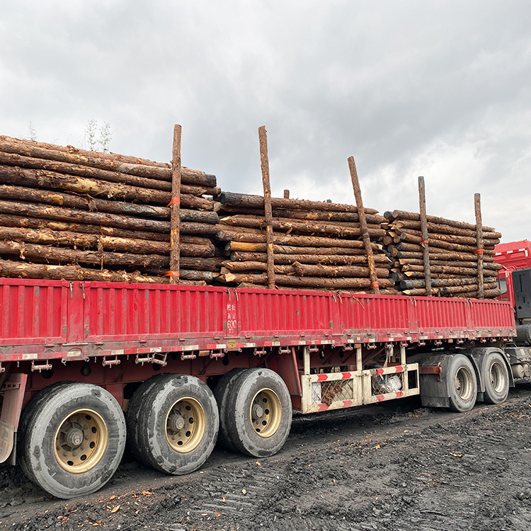 河道木樁報價:河道(6米)松木木樁多少錢一米,原木樁多少錢？