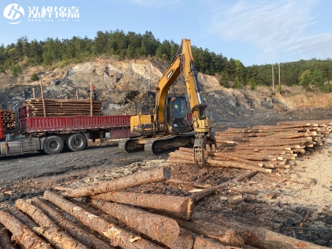 松木樁批發(fā)價(jià)格是多少？