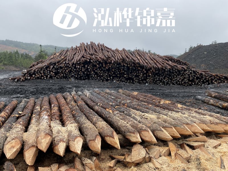 6米長(zhǎng)松木樁有哪些作用，多少錢一根？