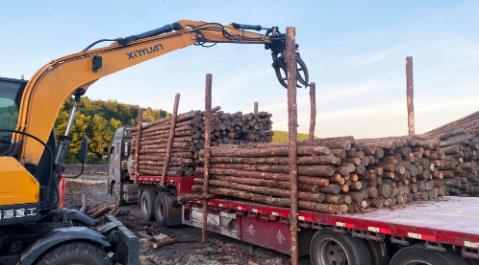 <a href=http://www.succauto.com/ target=_blank class=infotextkey>松木樁</a>現(xiàn)場選材與運輸