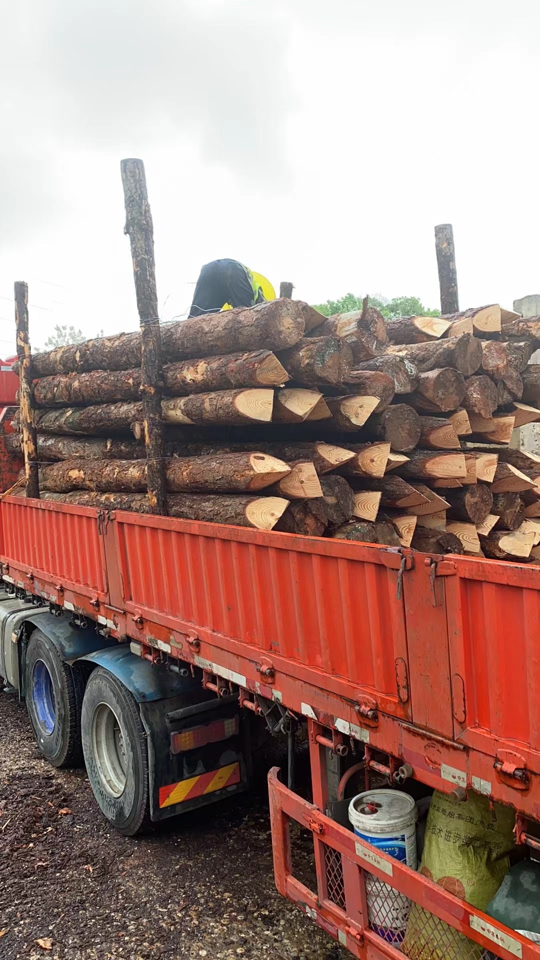 松木樁新手必備！快速掌握規(guī)范和要求