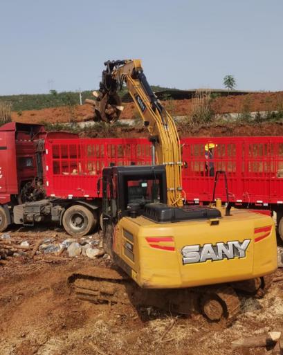 松木原木、松木條，漲勢(shì)如虹，現(xiàn)在搶購最劃算(附松木原木供應(yīng)廠家介紹)