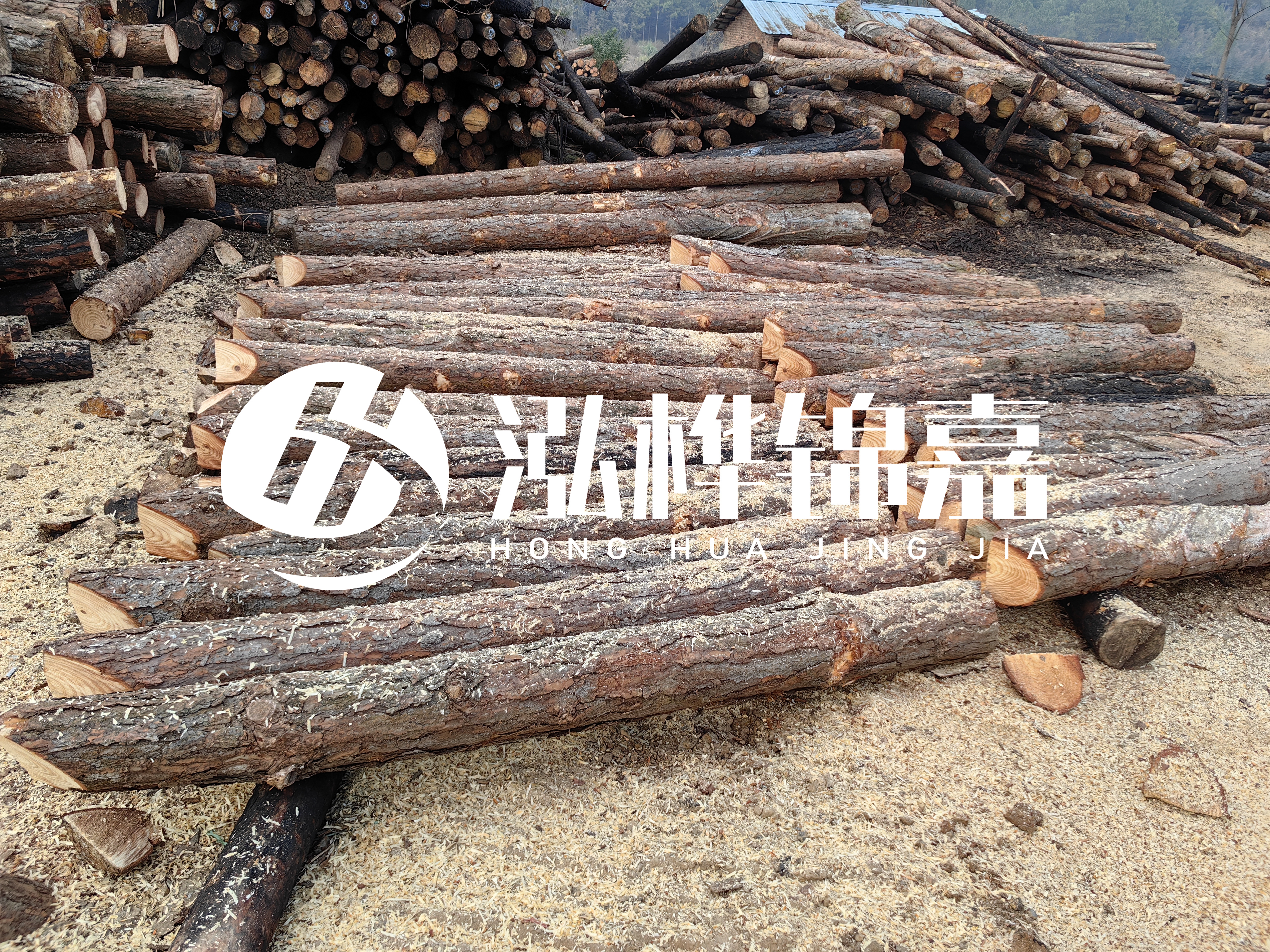 河道打樁木重復(fù)利用嗎？