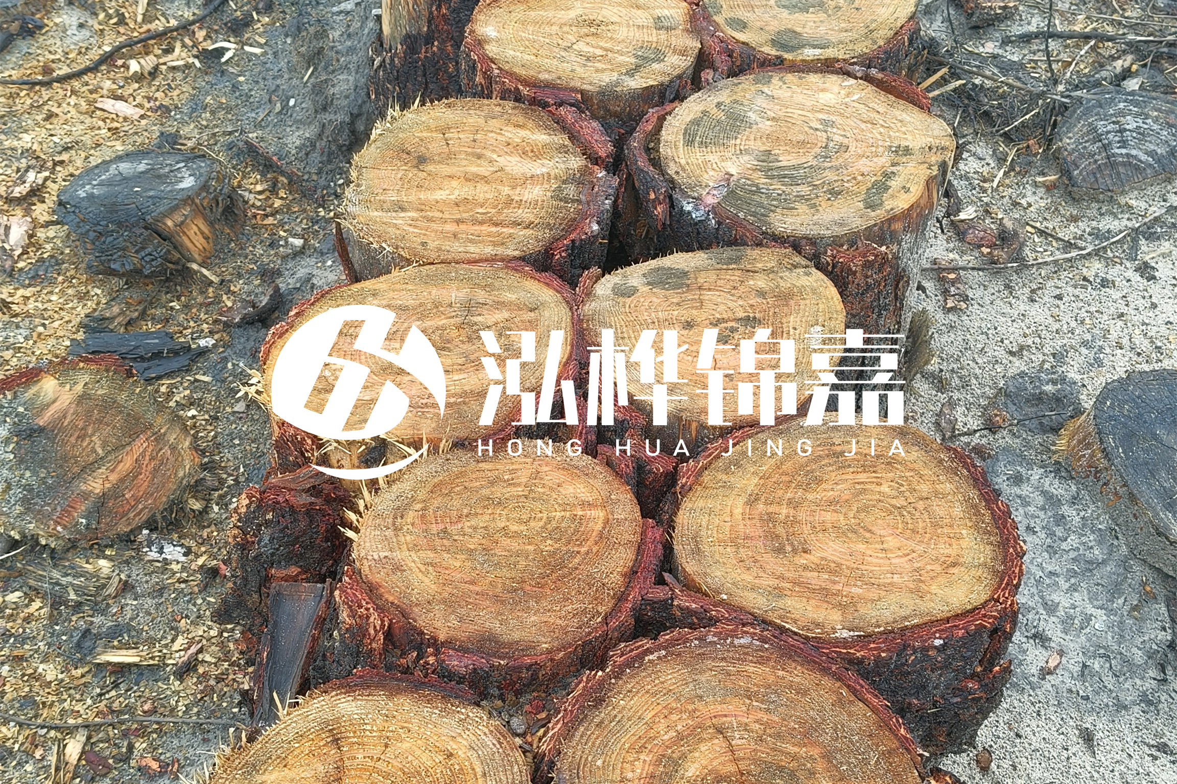 浙江臺州有清淤的公司嗎？浙江臺州有清淤施工隊嗎？