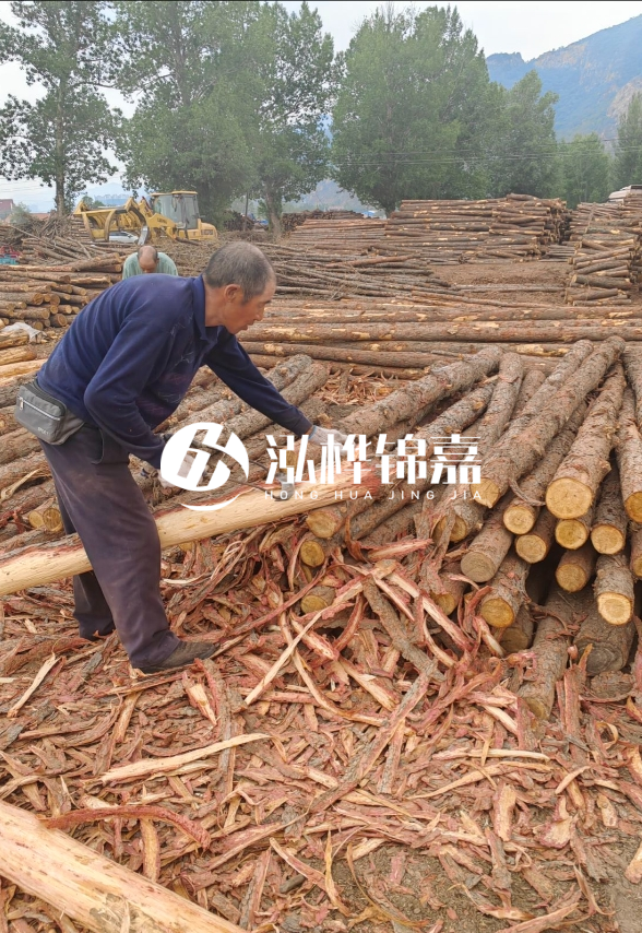 東營(yíng)河道清淤專業(yè)施工隊(duì)-不同型號(hào)挖機(jī)清淤能力對(duì)比？