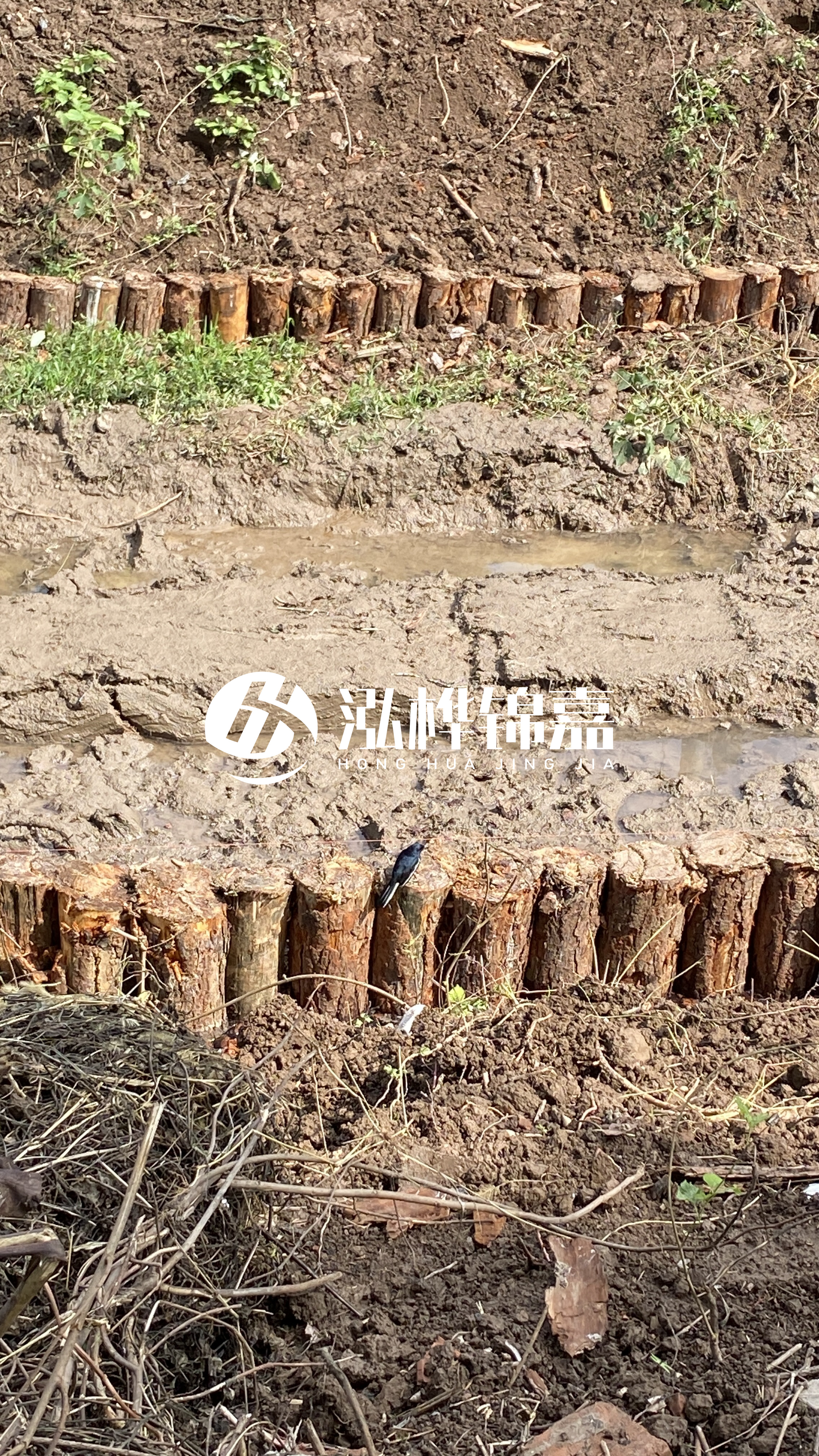 寧波河道清淤專業(yè)施工-治理河道對于老百姓有什么意義？