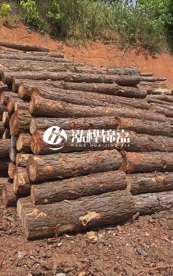 七臺(tái)河河道清淤專業(yè)施工-河道清淤的淤泥多久能干？