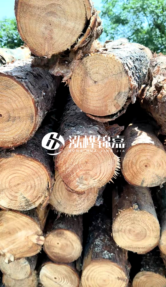 周口挖機打木樁專業(yè)施工-杉木樁施工打樁怎么打？