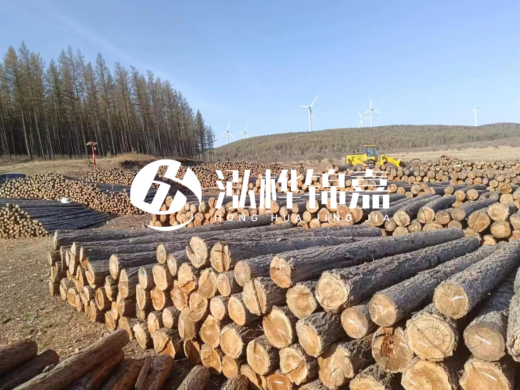 湘潭松木樁源頭廠家-松木樁與水泥樁的性價比對比如何？