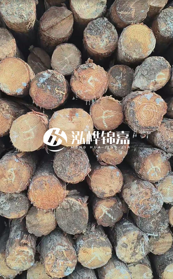 邵陽松木樁源頭廠家-松木樁護岸適合哪些地理環(huán)境？