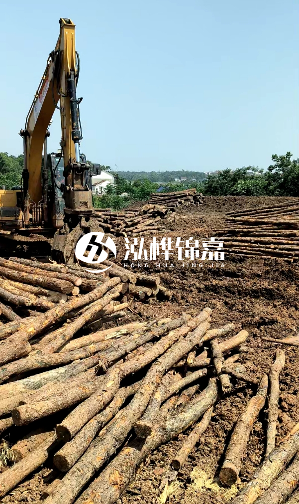 江門松木樁源頭廠家-河道木樁的防腐處理有哪些方法？