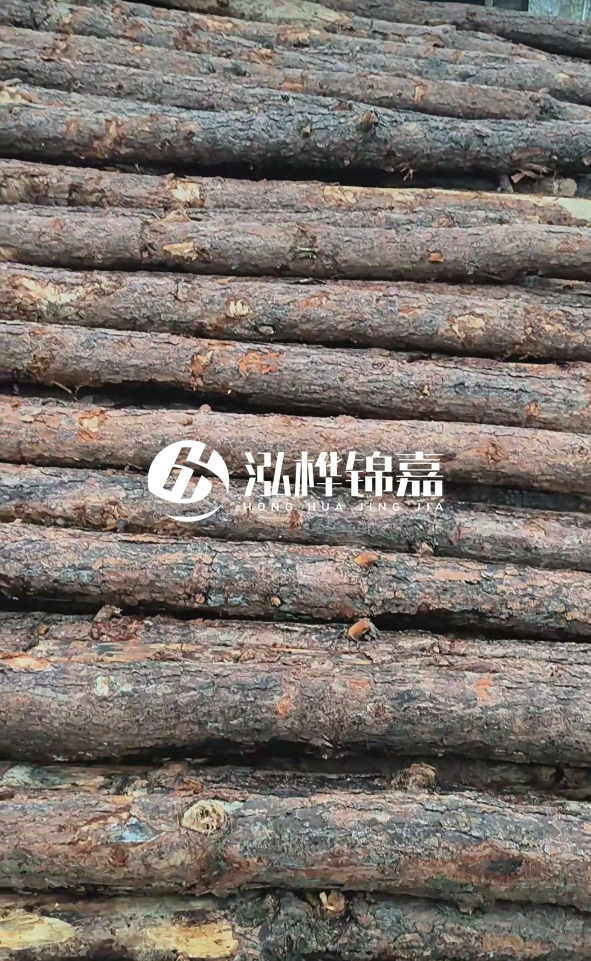 陽江松木樁源頭廠家-哪一種打樁木最便宜？