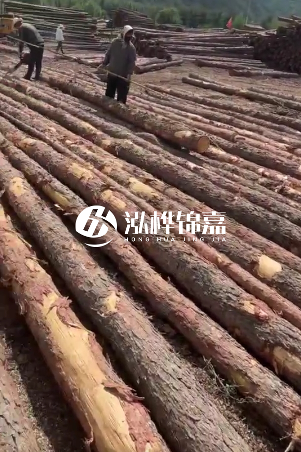 ?？谒赡緲对搭^廠家-松木樁最長可以做多少米？