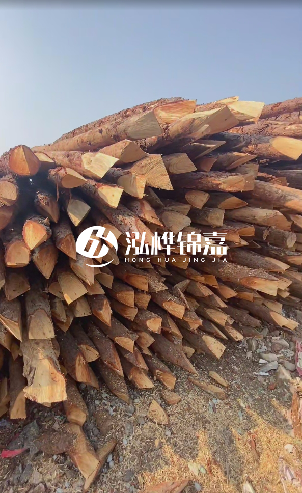 成都松木樁源頭廠家-松木樁價(jià)格5米多少錢(qián)？