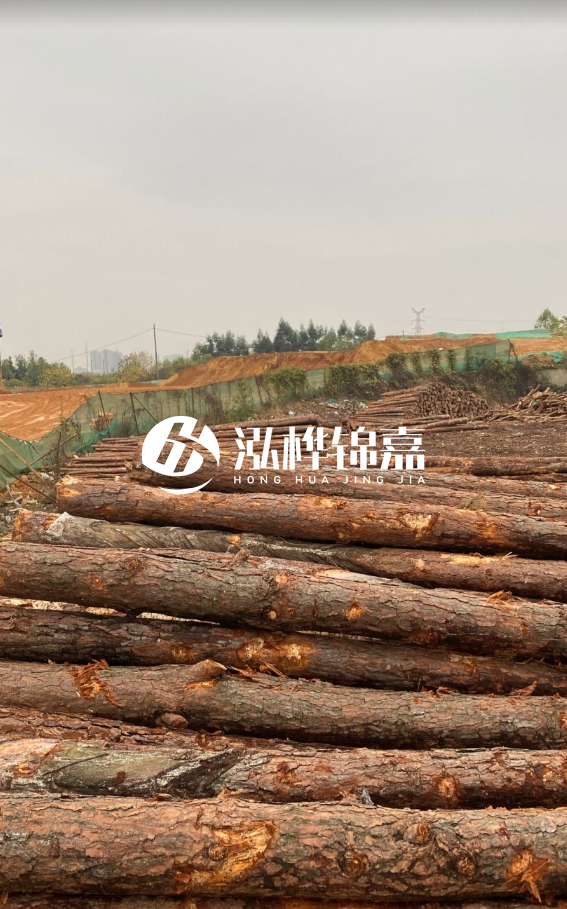 攀枝花松木樁源頭廠家-河道松木樁廠家聯(lián)系方式？