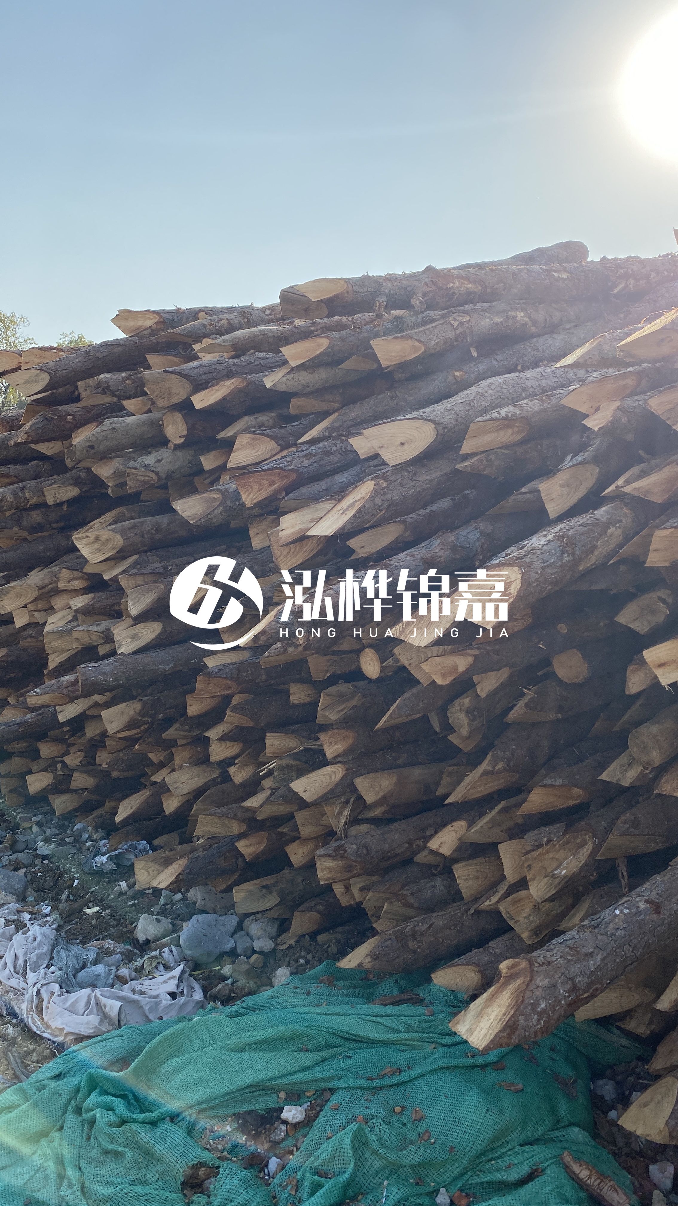 巴中松木樁源頭廠家-原木打樁木是否適合所有地質(zhì)條件？