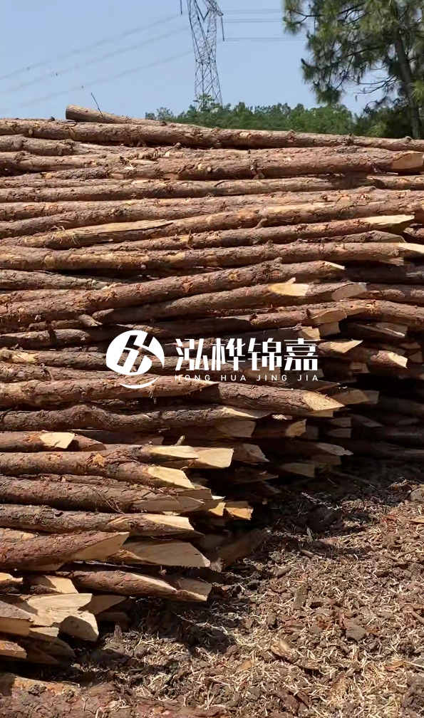 銅仁市挖機打木樁專業(yè)施工-河道松木樁水面需要預留多少？