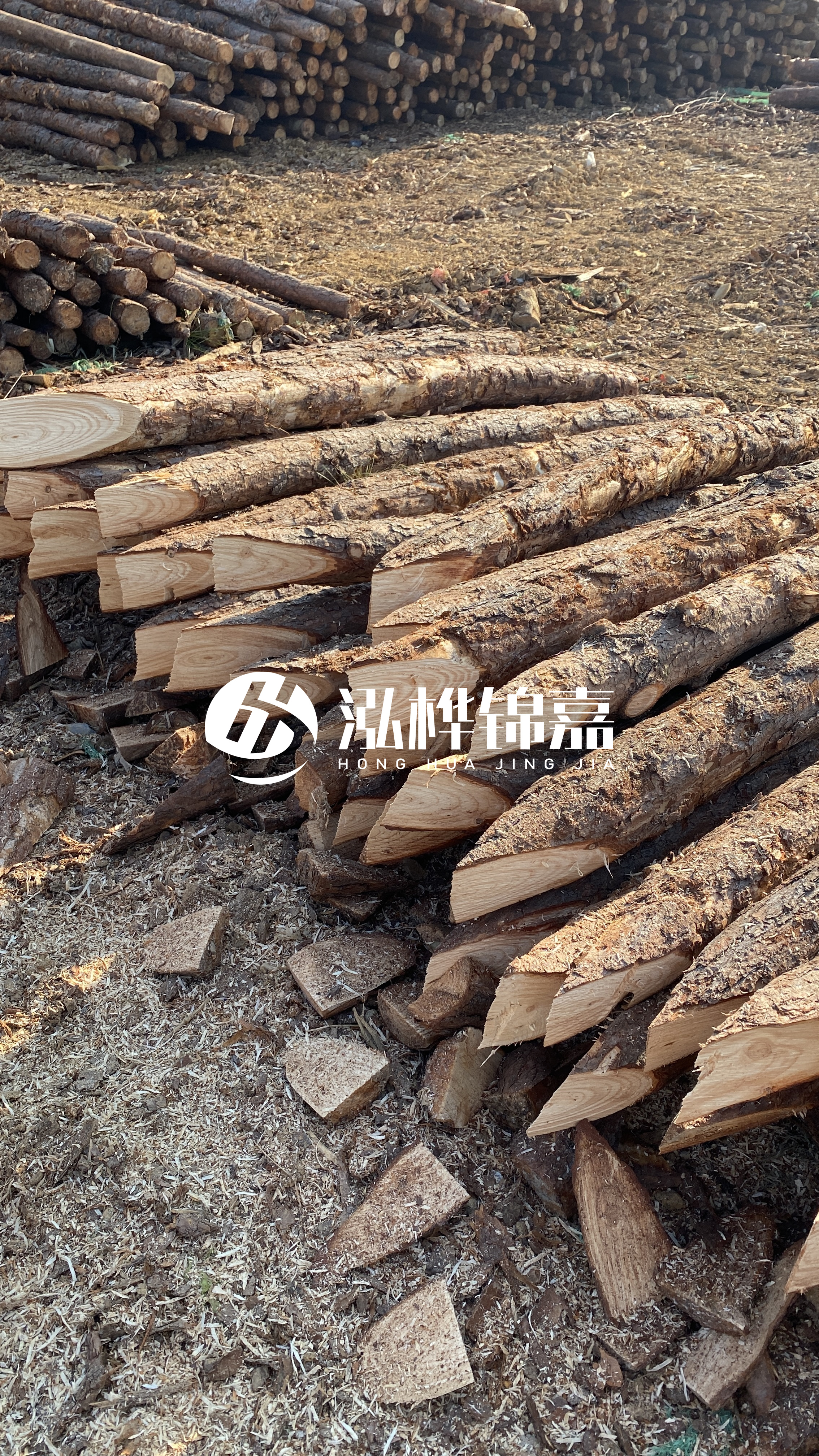 普洱松木樁源頭廠家-油松打樁木的抗壓強度是多少？