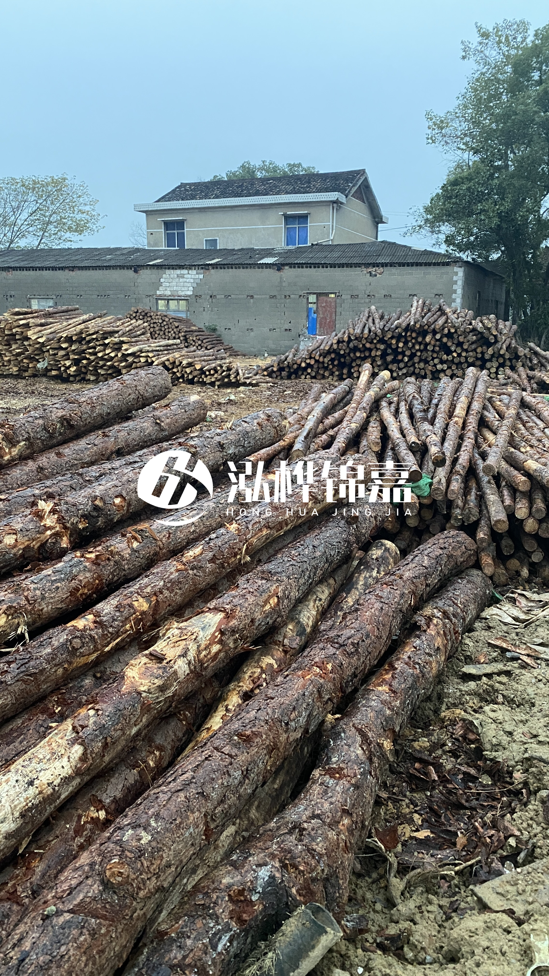 臨滄松木樁源頭廠家-油松打樁木的儲存條件有哪些要求？