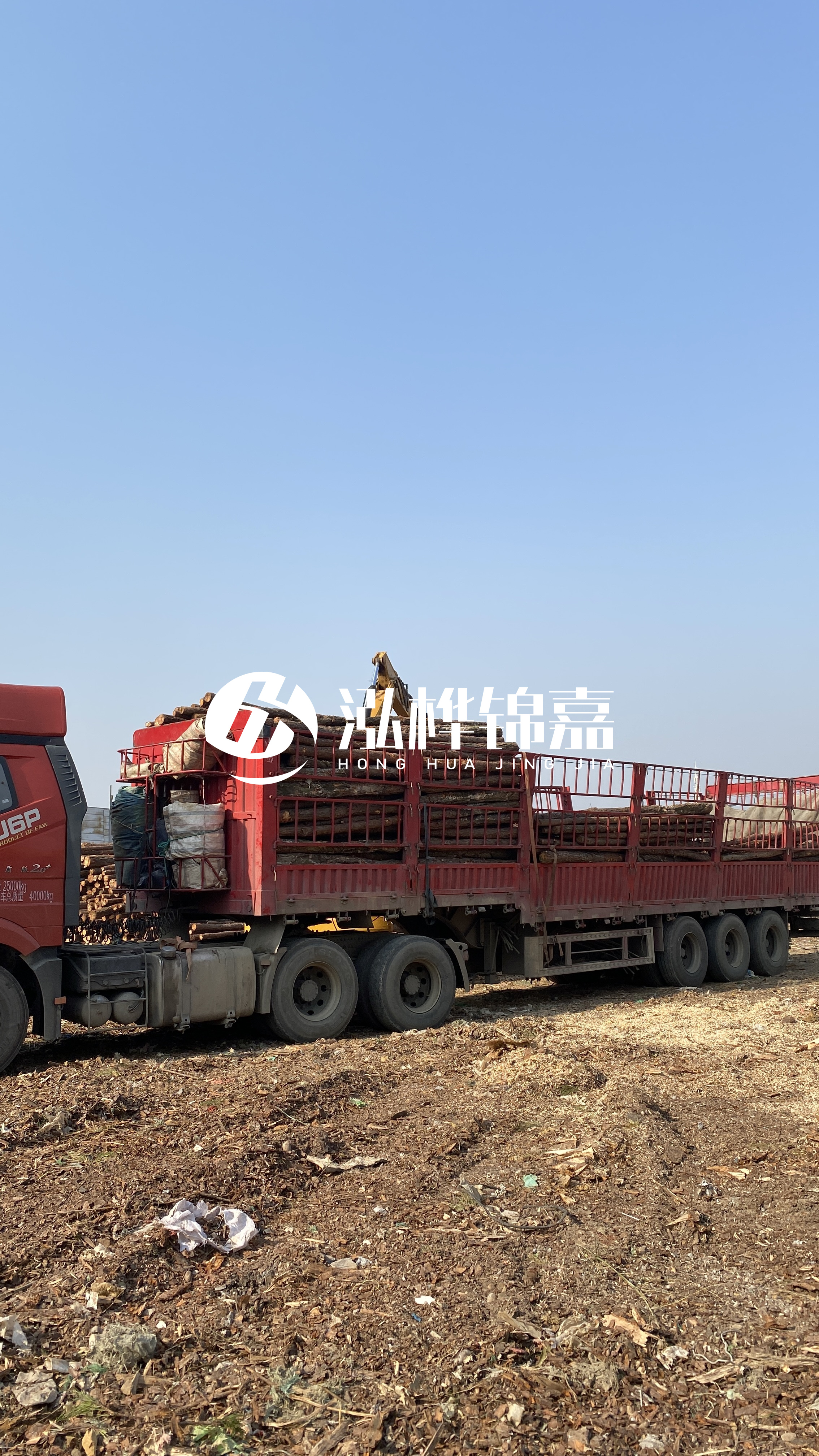 蘭州松木樁批發(fā)源頭廠家-落葉松與濕地松的主要區(qū)別？