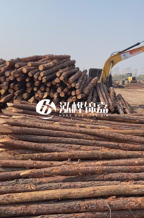 油松用于打樁木到底好不好？讓專業(yè)打樁隊告訴你！