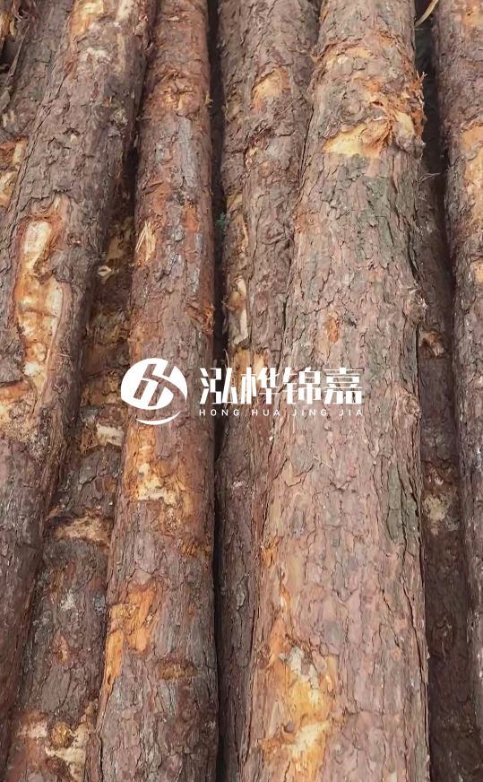 浙江地區(qū)大量供應(yīng)松木樁，源頭廠家在哪里？