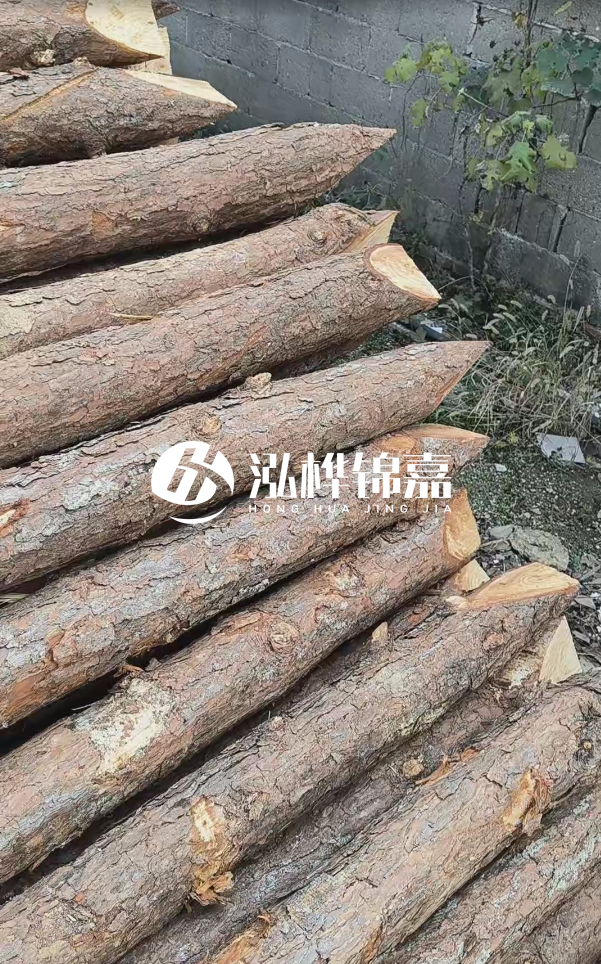 松木樁哪里能大量供應(yīng)？4米20公分松木樁價(jià)格是多少？