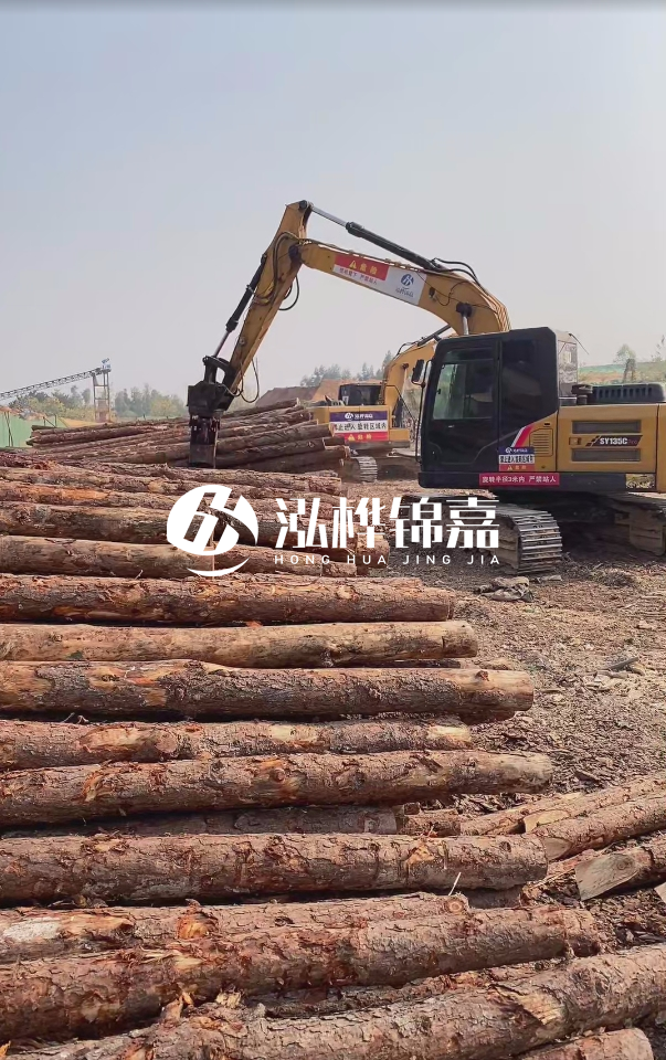 打樁木材為何優(yōu)先選松木？好處究竟有哪些？