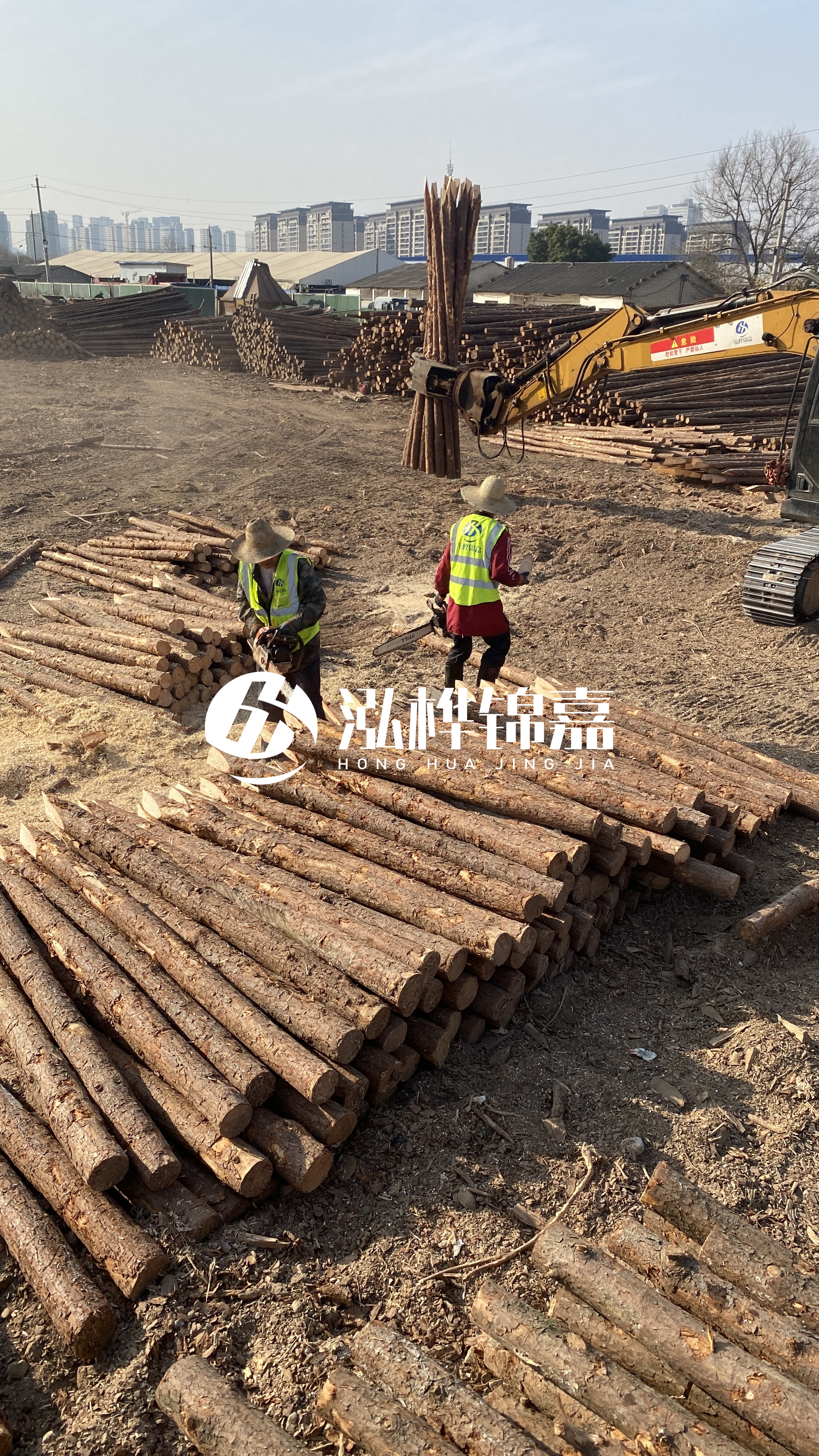 松木樁梢徑怎么測(cè)量？實(shí)用教程！一文教會(huì)你！