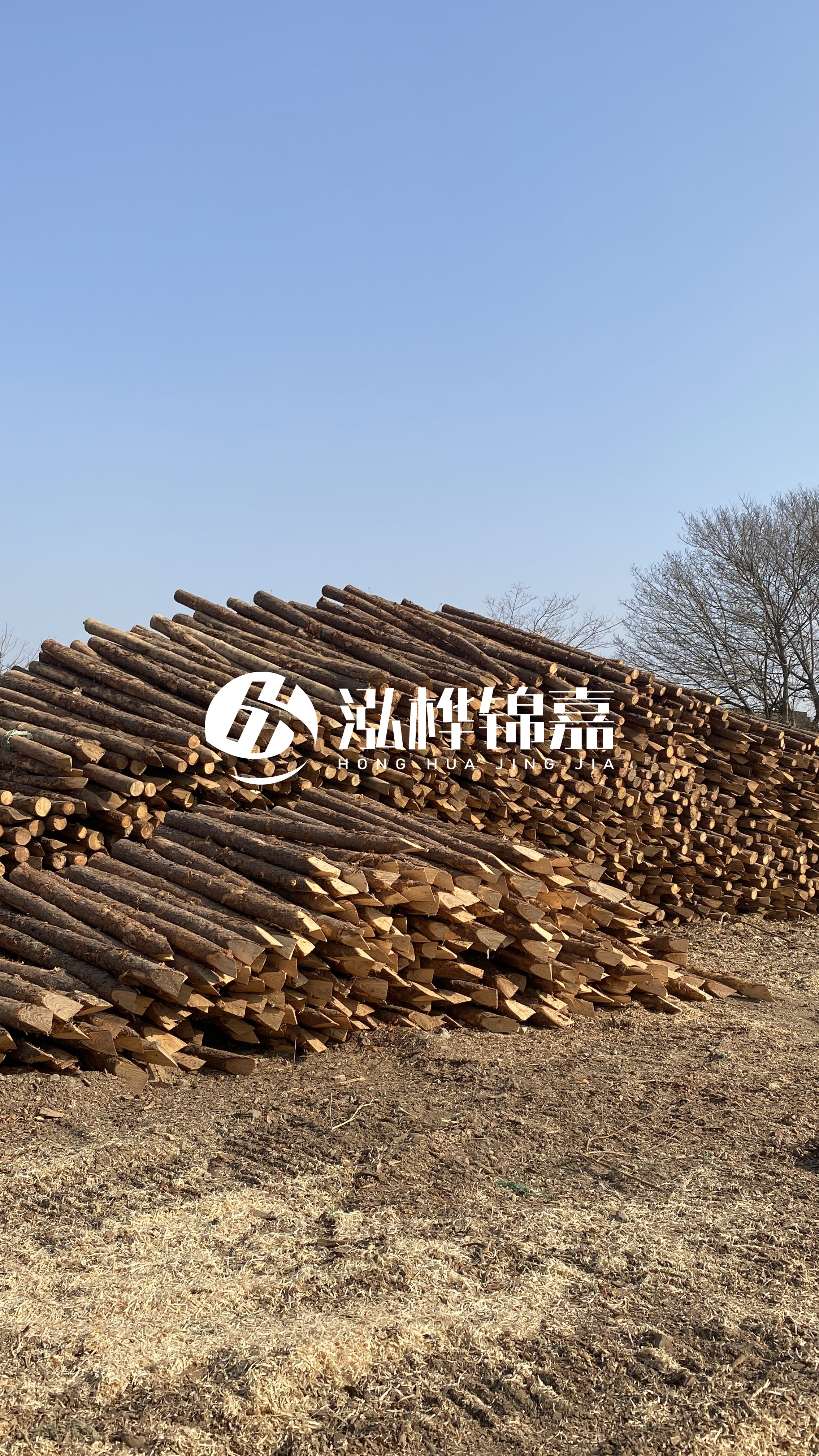 松木樁頭徑比尾徑大多少？計(jì)算方式是什么？