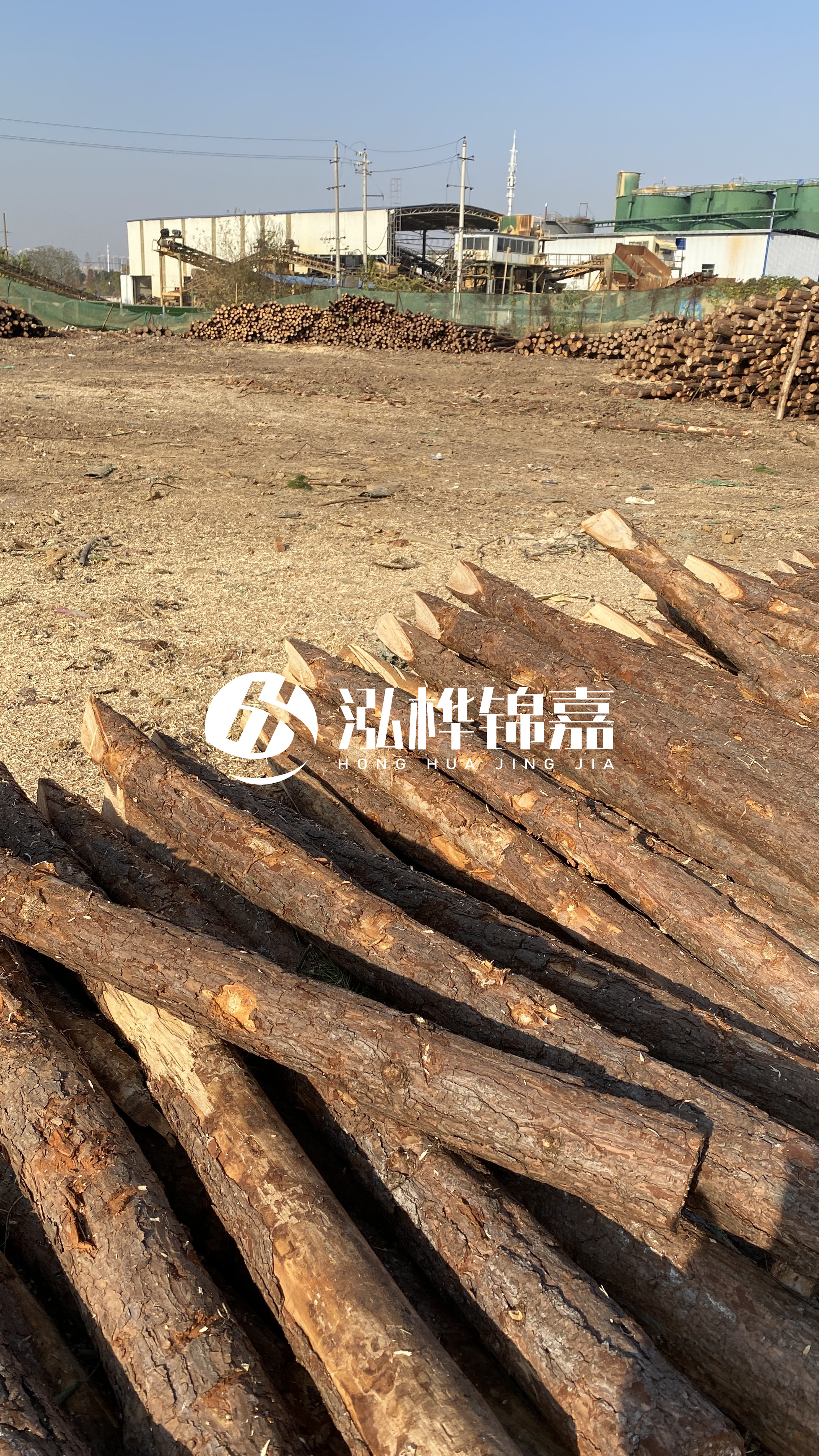 松木樁施工要找有資質(zhì)的嗎？松木樁施工背后門道多，看完就懂了！