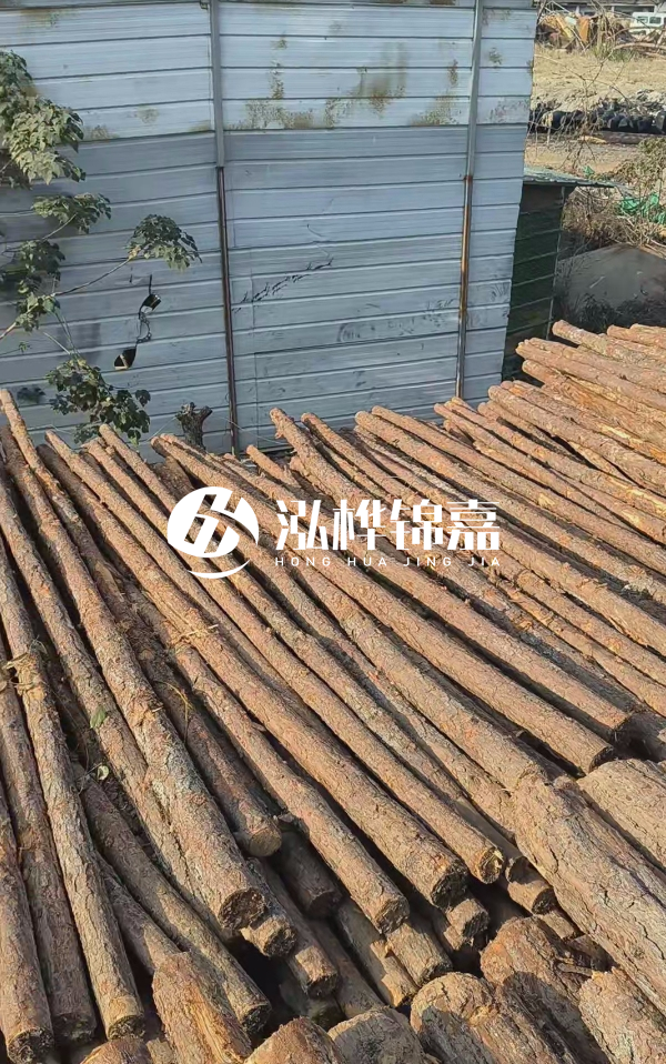 4米松木樁一根有多重？看完你就心中有數(shù)啦！