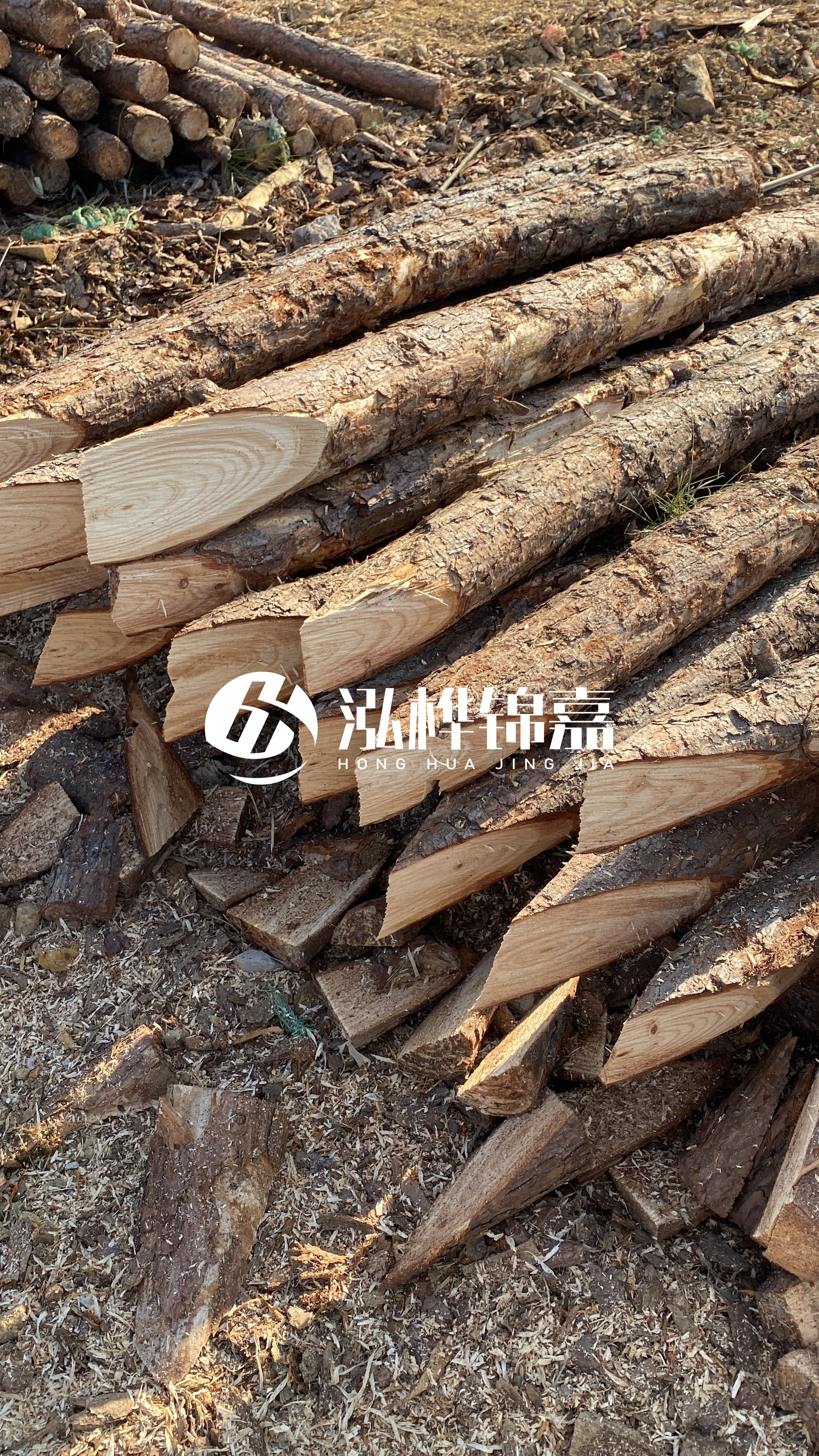 3米8公分松木樁價格是多少？市場最新報價大公開！