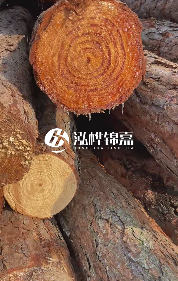 6米松木樁尾部11-14頭部多少？怎么算出來的？