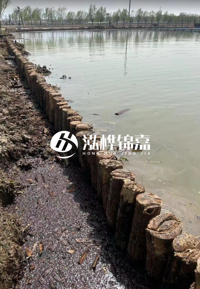 松木樁為什么要一根一根挨著打？秘密在這里！看完恍然大悟！