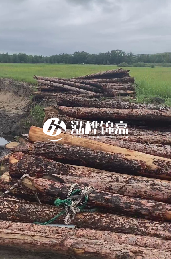 打樁木樁的選購標(biāo)準(zhǔn)是什么？材質(zhì)、尺寸與強度，哪些標(biāo)準(zhǔn)不能忽視？