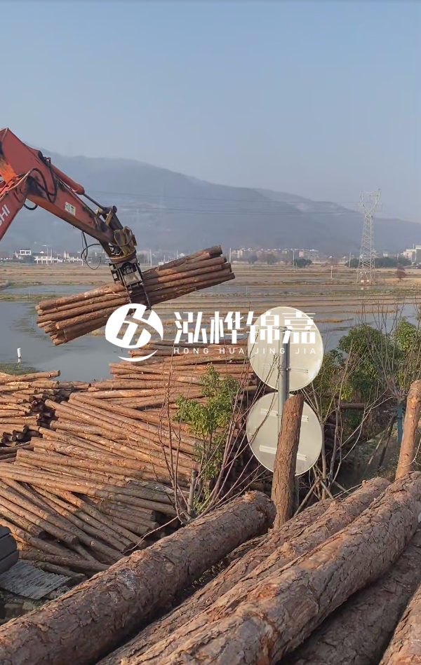 松木樁是否需要削皮呢？松木樁為什么不會爛掉呢？