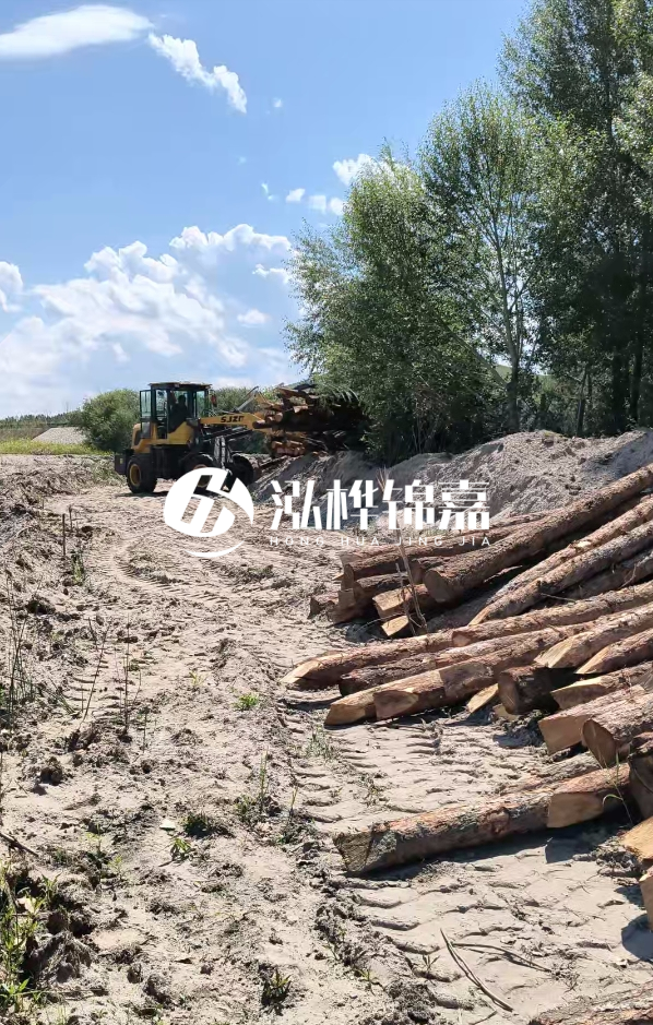 松木樁處理技術要求是什么-松木樁處理地基間距多少合適呢？