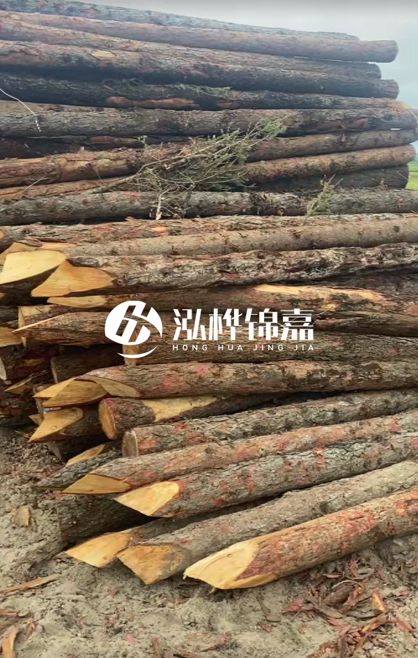 松木樁4米長尾徑14厘米價格是多少？一立方米有多少根？