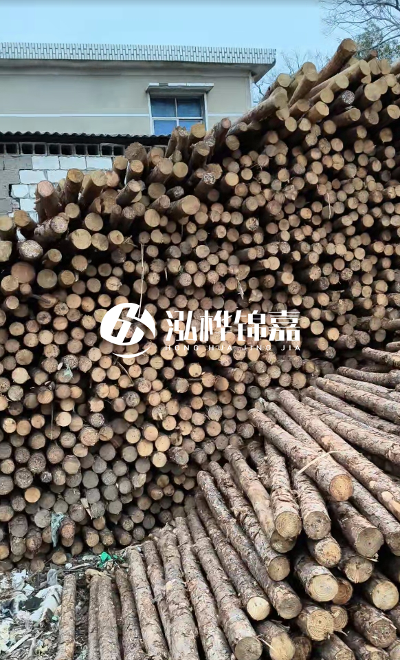 2米松木樁多少錢一根？7-10CM直徑價格是多少？