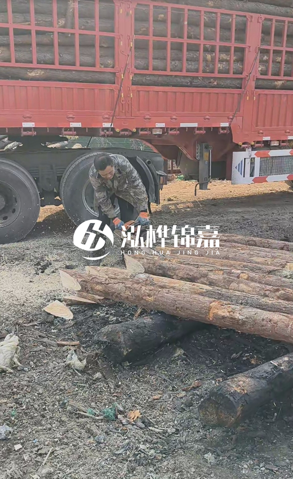 2米松木樁多少錢一根？15-20CM直徑價格是多少？