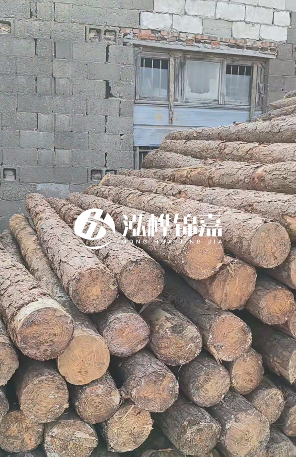 3米松木樁多少錢一根？14公分松木樁價格是多少？