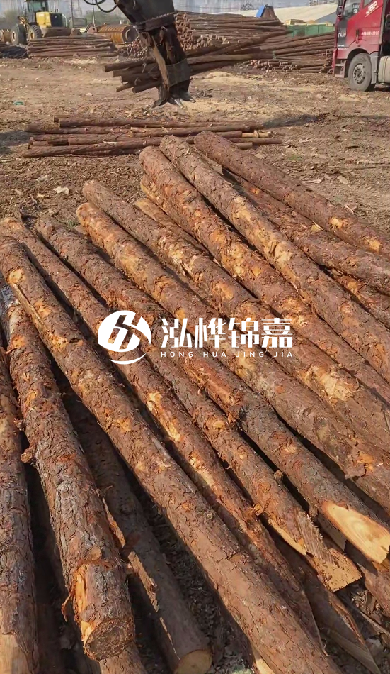 4.5米松木樁直徑14一根多少錢？5米14厘米多少錢？