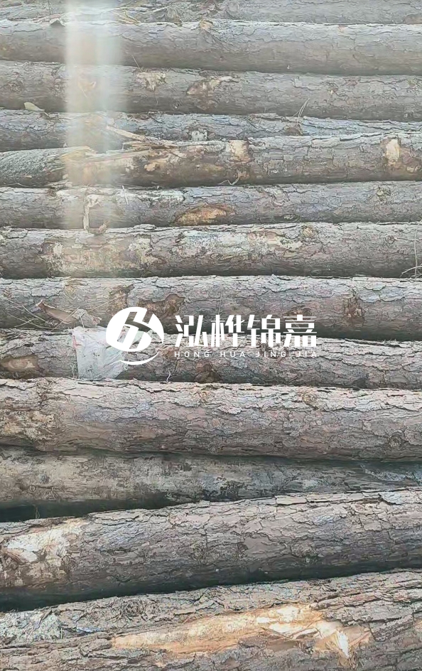 松木樁5米100mm一根多少錢-5米140mm多少錢？