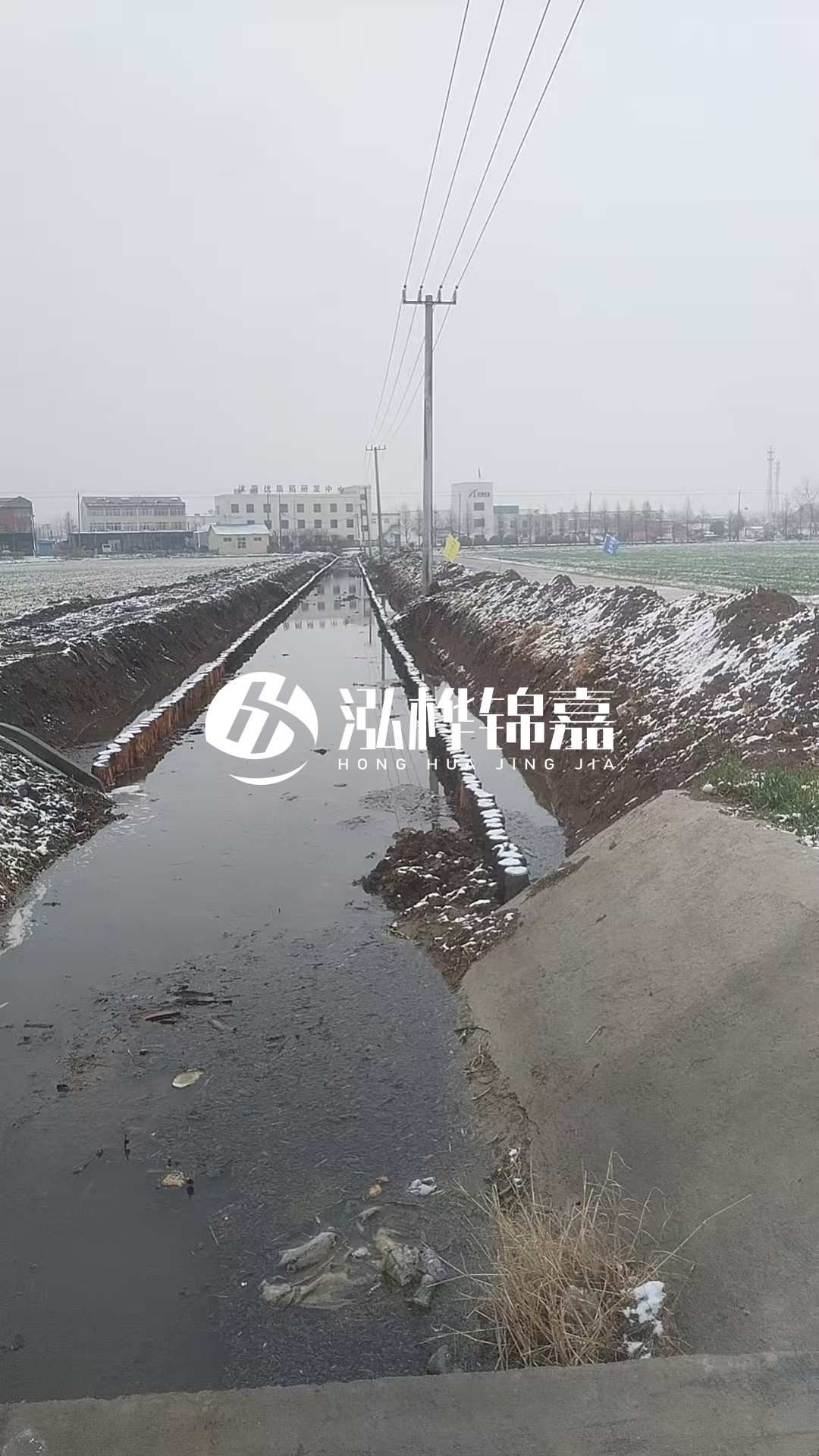 4米松木樁和杉木樁價格相差多少？哪個更便宜？