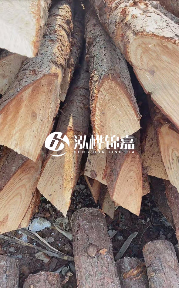 3米杉木樁梢頭12大頭多少？賣多少錢一根？