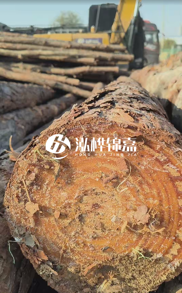 杉木樁價格多少錢一方-3米直徑14公分杉木樁價格？