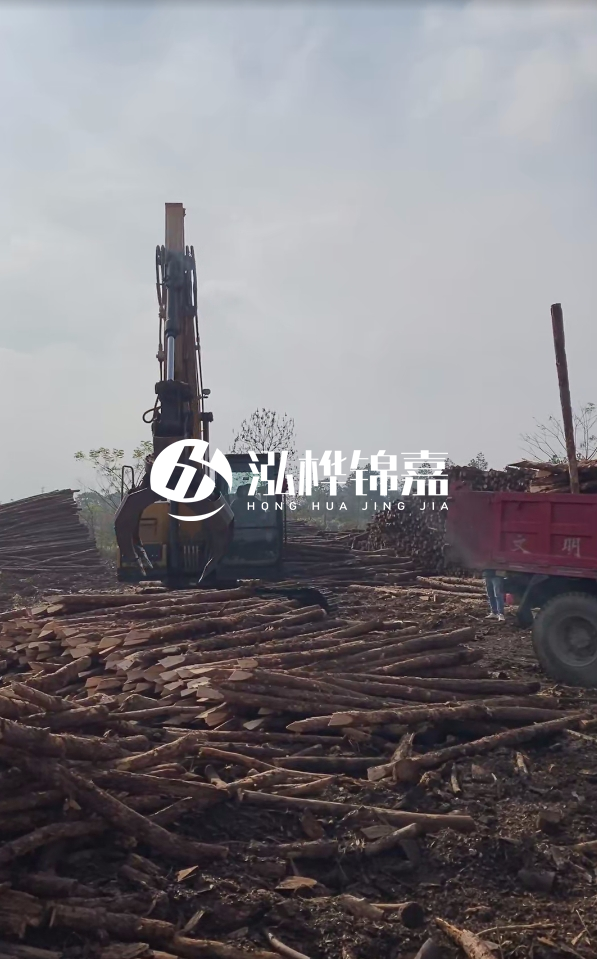 6米打樁木多少錢一根-6米10-15公分價格是多少？