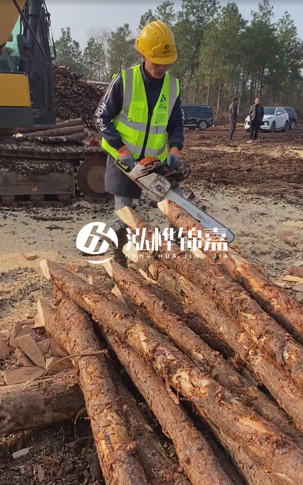 松木樁樁長1.5米稍徑12多少錢一根？樁長1.5米稍徑12大頭多少？